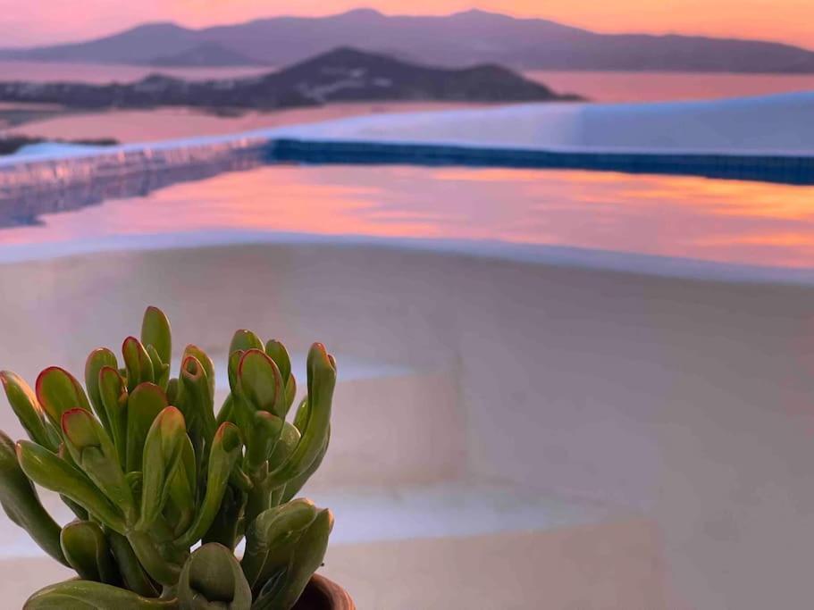 Eye Of Naxos Βίλα Naxos City Εξωτερικό φωτογραφία